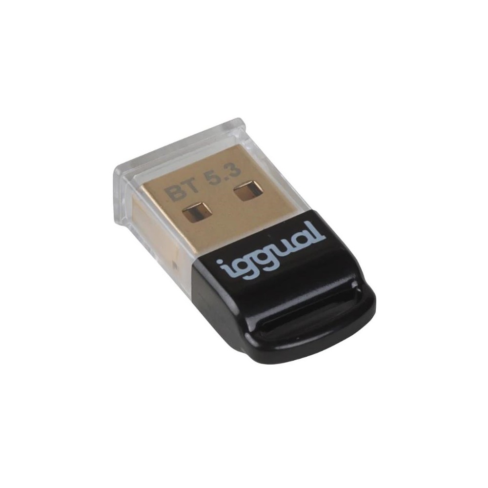 Iggual adaptador usb 2.0 mini bluetooth 5.3