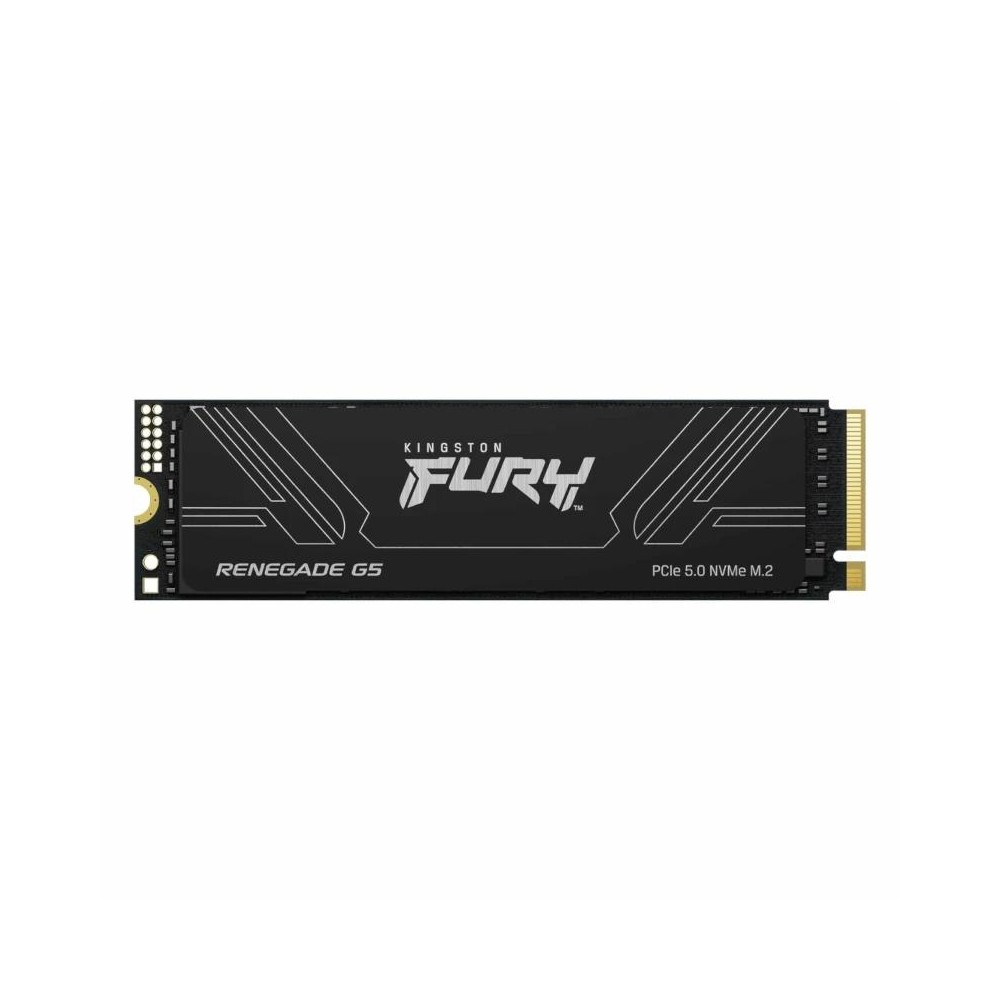 Kingston fury renegade g5 ssd 1tb pcie5.0 14200m-s