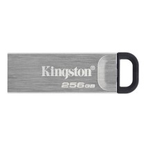 Kingston datatraveler dtkn 256gb usb 3.2 gen1 plat