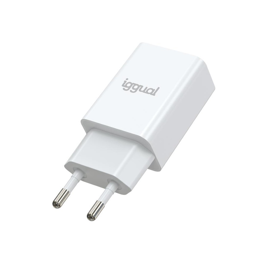 Iggual cargador de pared 1xusb 5v/2a (10w)