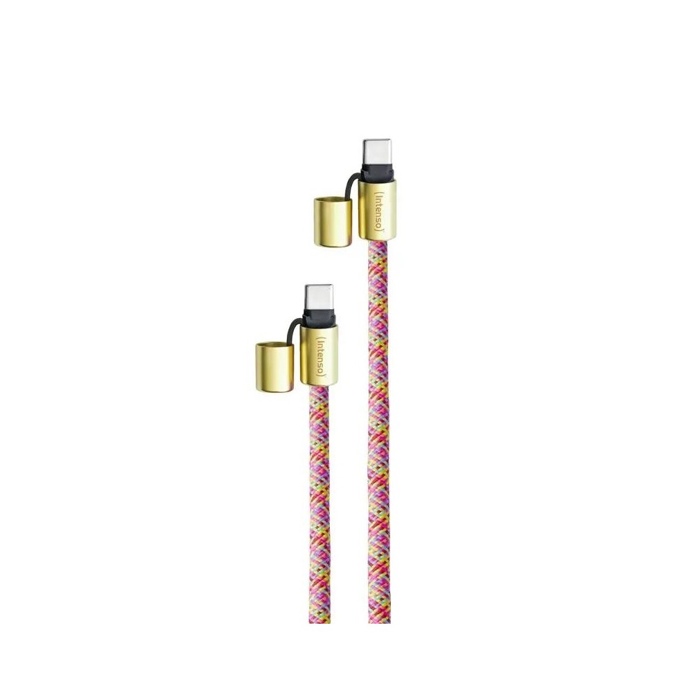 Intenso lanyard cable usb-c c 1,65 m neon mix