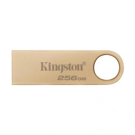 Kingston datatraveler se9 g3 256gb usb 3.2 gen1