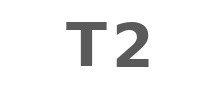T2